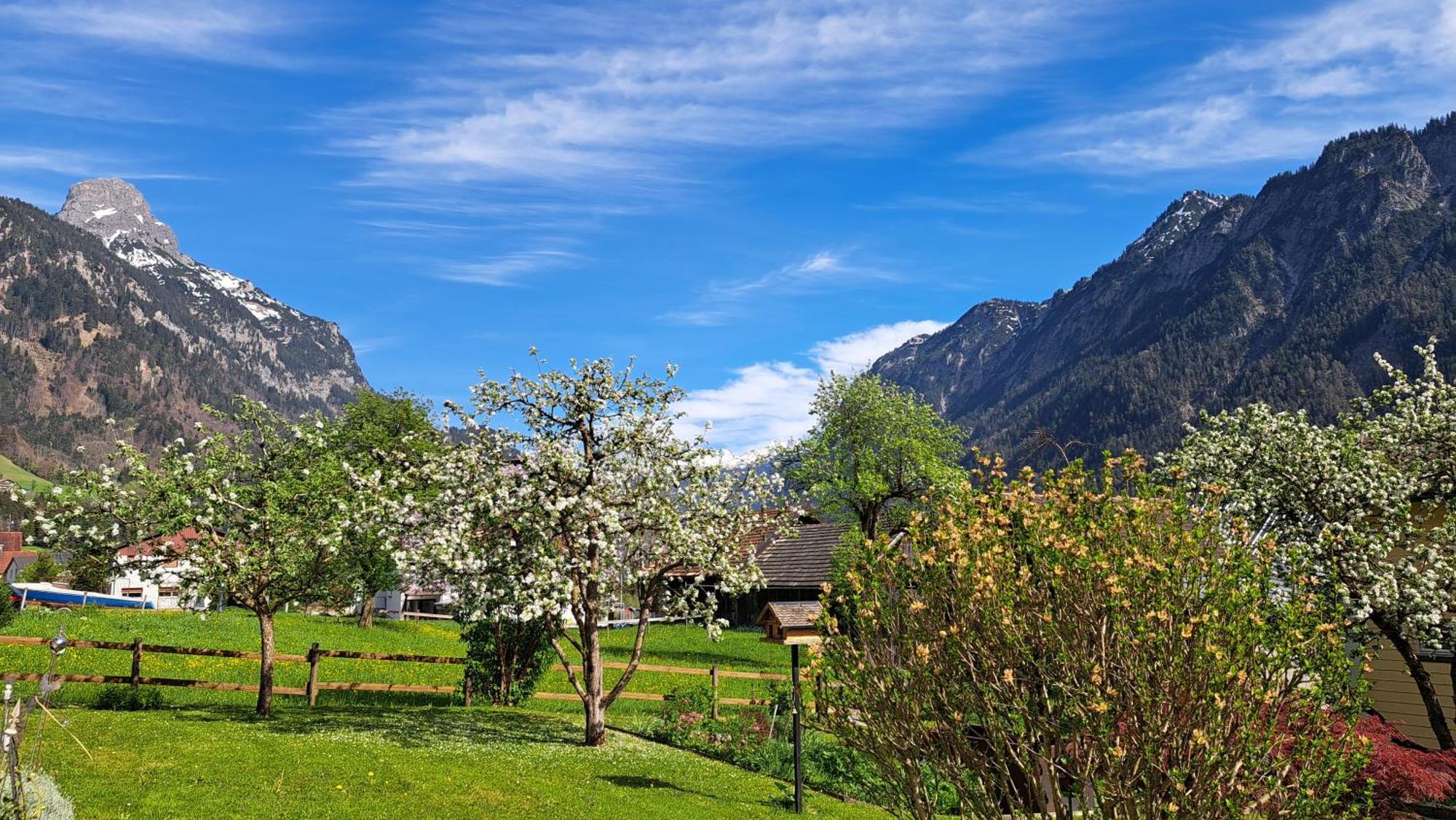 Baers Mountain Stay Ausserbraz Innerbraz Exterior photo